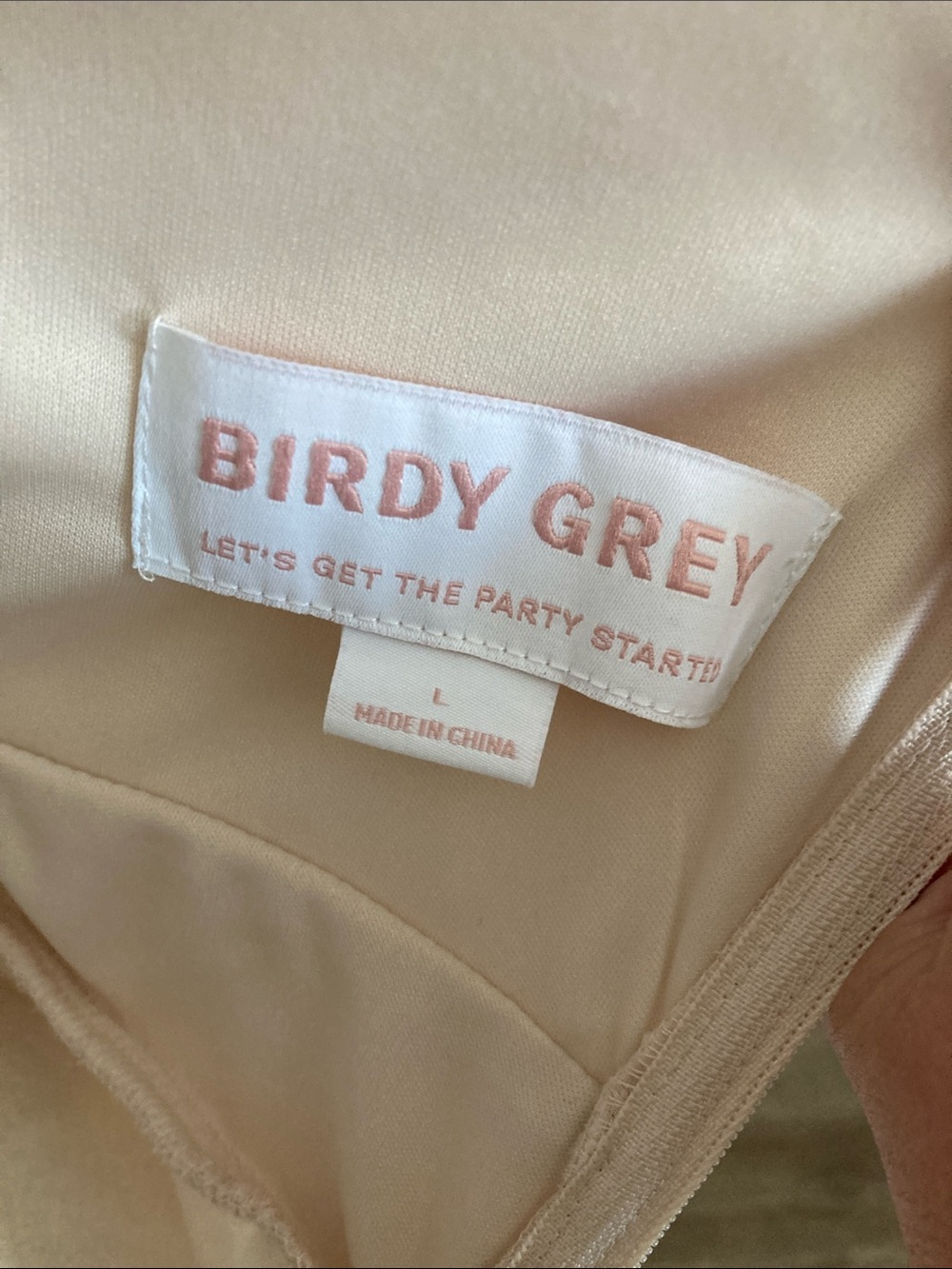 Birdy Gray Champagne Ruffled Maxi Dress Sz L - Picture 7 of 7